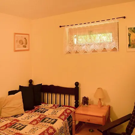 Tatil Evi Home, Gowidlino